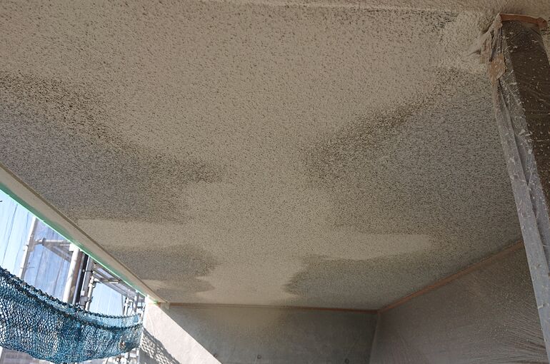 DSC_0573